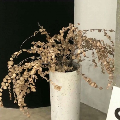 霍州福瑞交流群